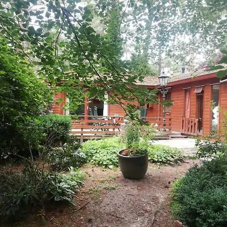Boschalet Noord Veluwe Шале